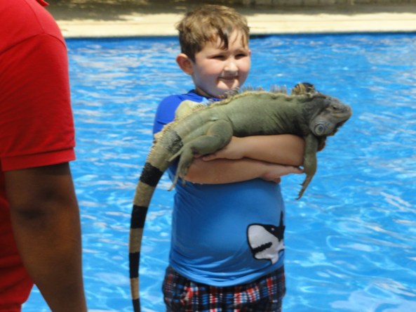 Charlie the Iguana Tamer
